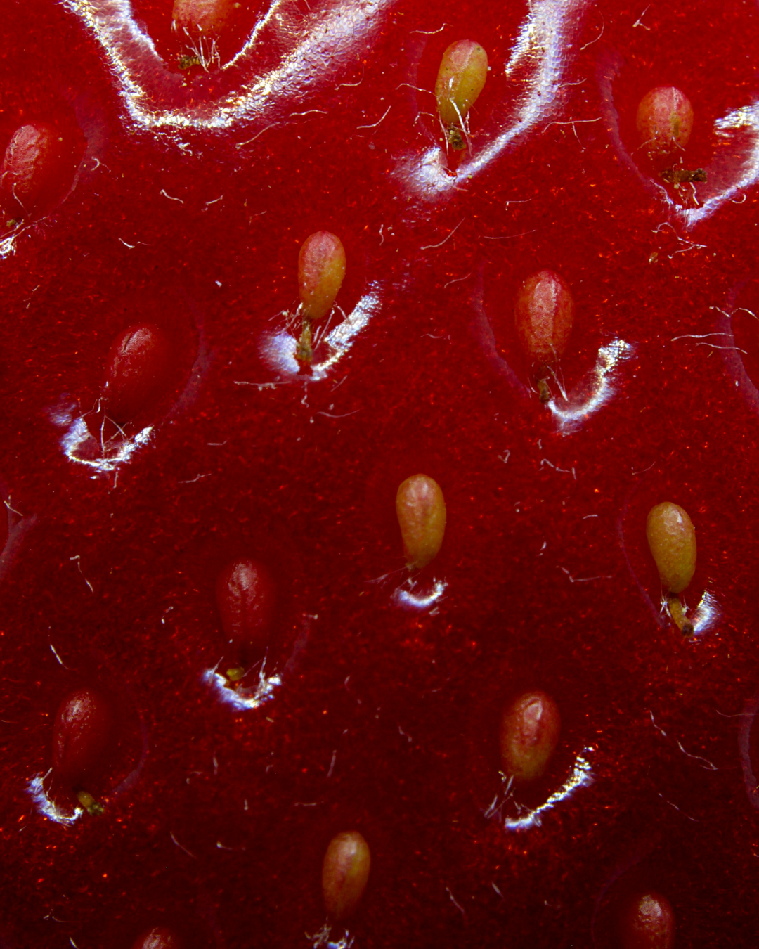 Enlarged pores: What is your skin really telling you?