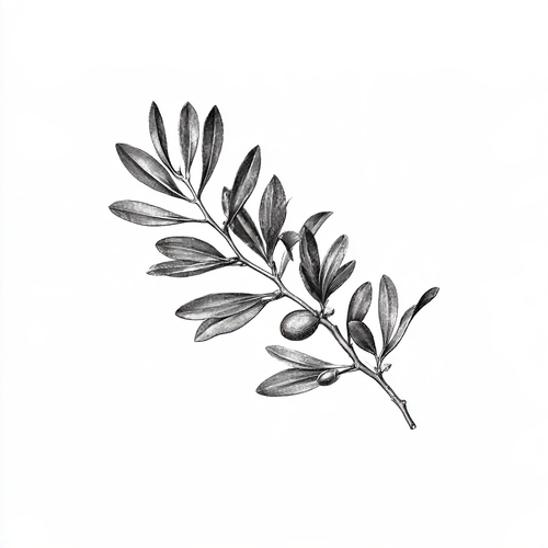 Jojoba