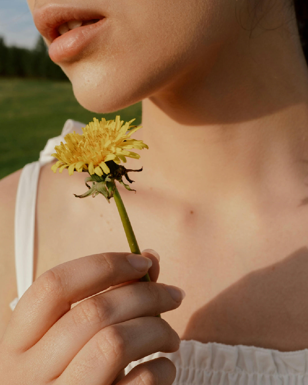 Essential Oils in Skincare: Risk or Remedy for Your Skin?