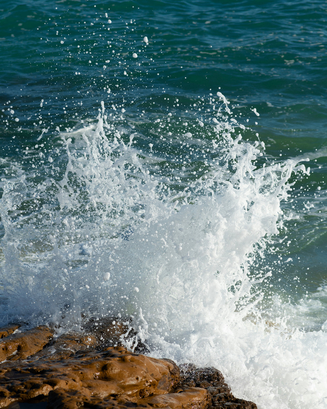 Gemmo Extracts : the beautifying power of nature