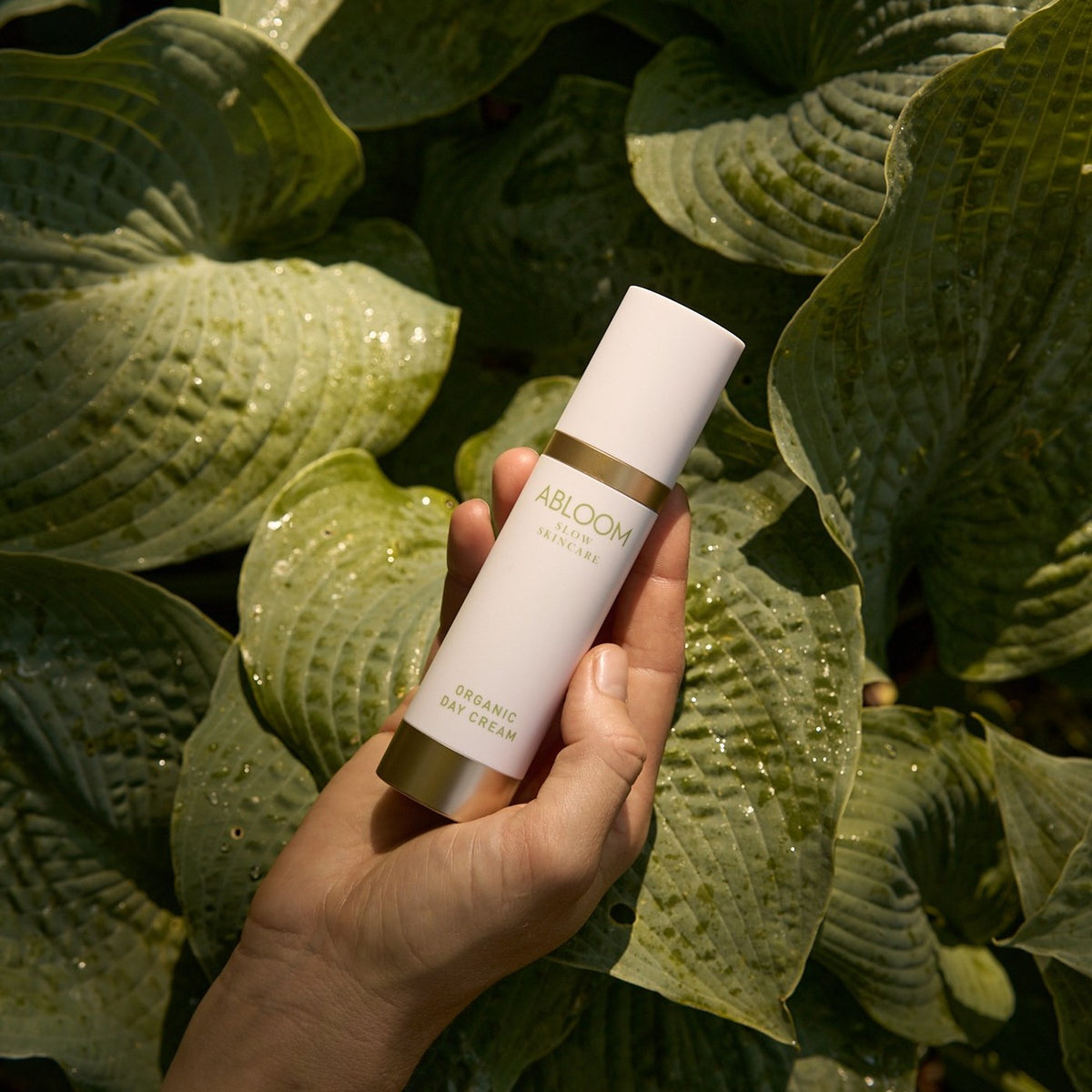Organic Day Cream