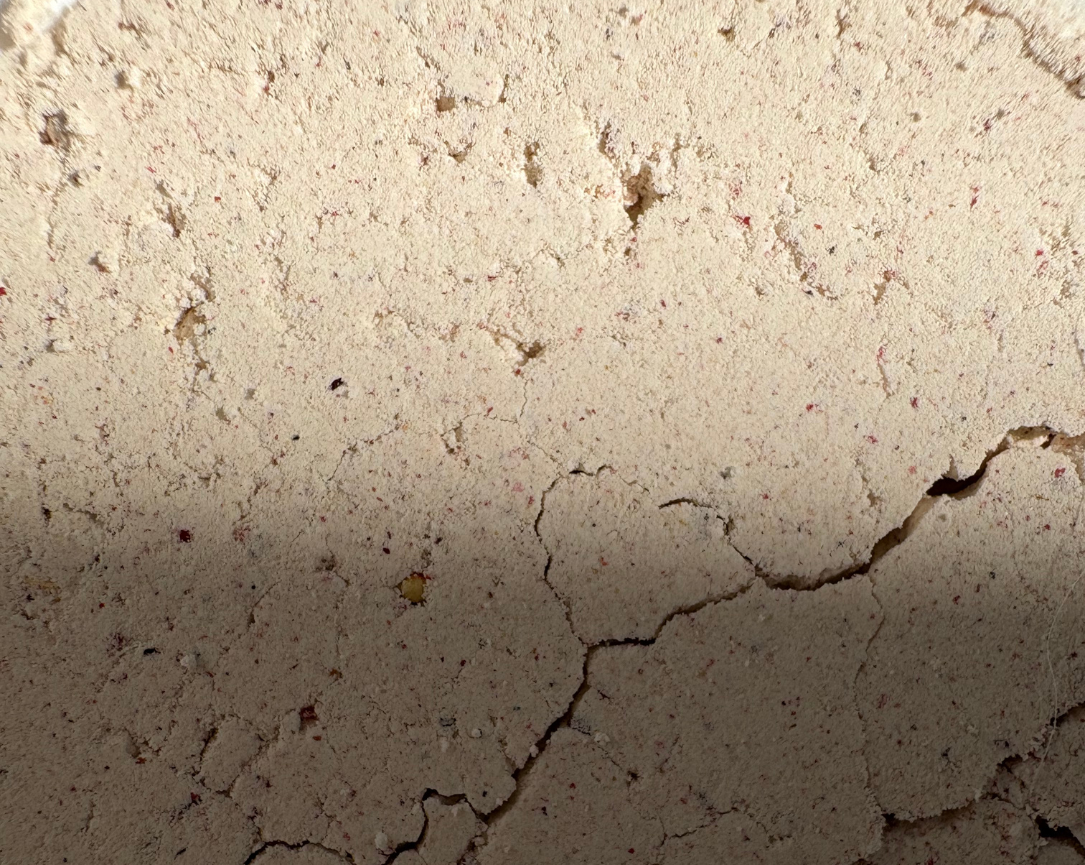 Biologische Enzyme Peeling