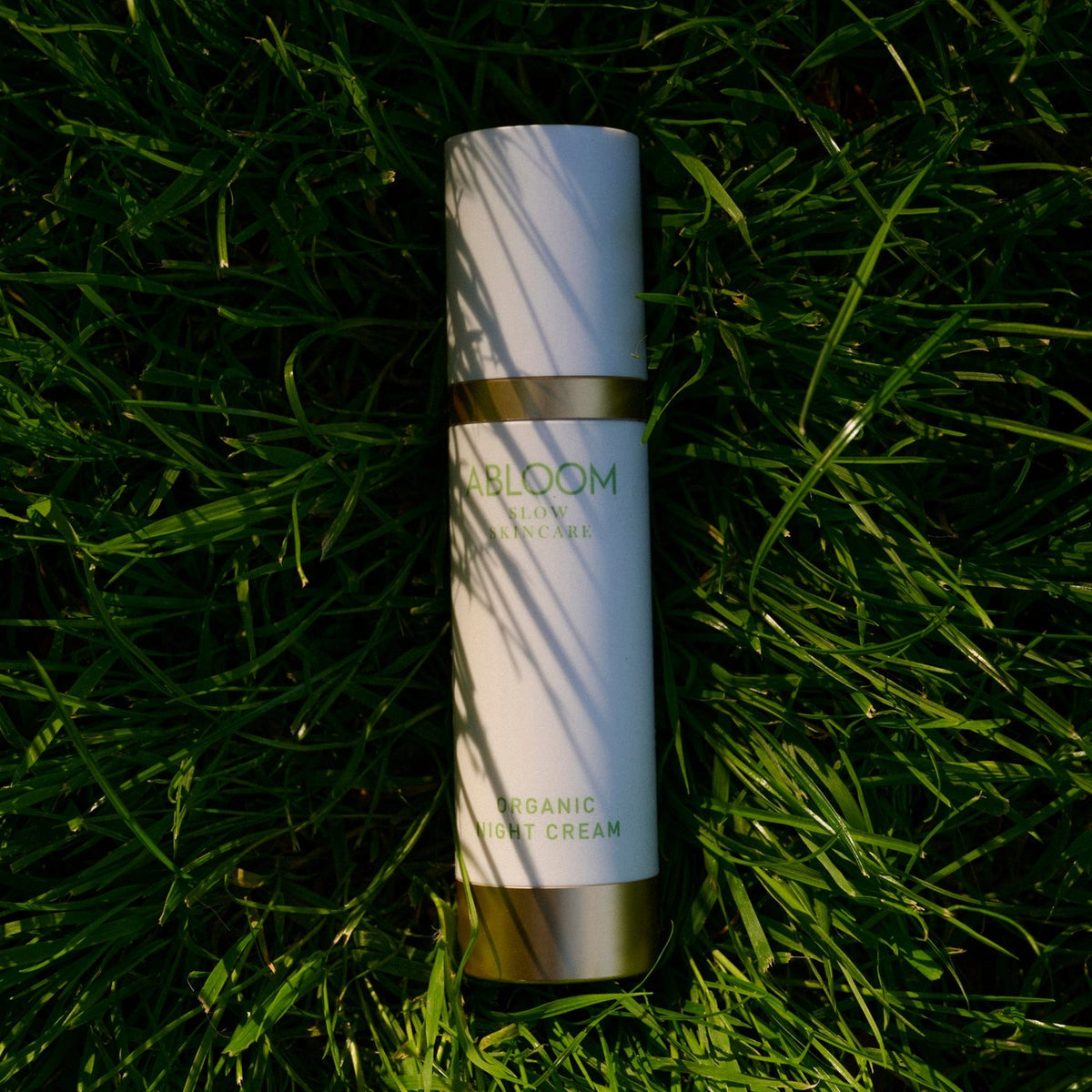 Organic Night Cream